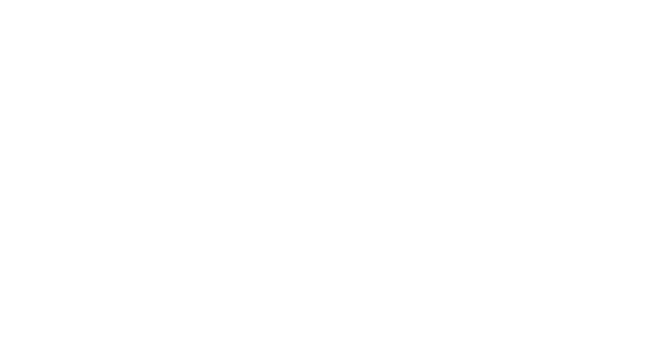 VIS(ビス)